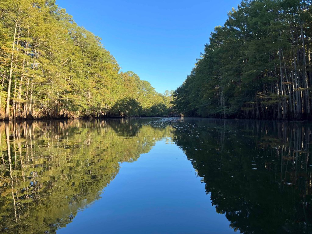 Scenery paddle kayak trip Caddo, Backwater Jacks, www.SawdustRiver.com