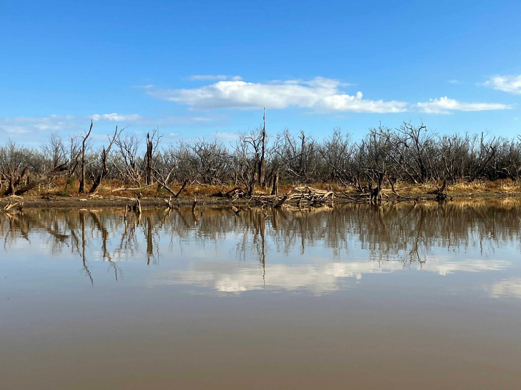 Scenery paddle kayak Angelina River Sam Rayburn