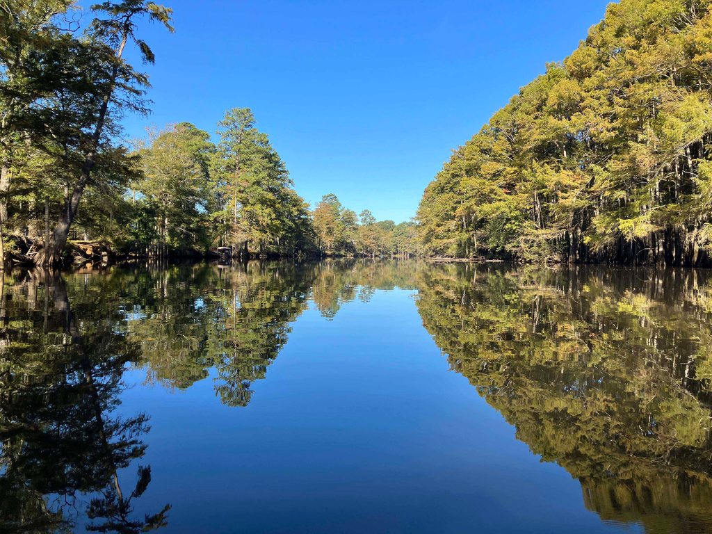 Scenery paddle kayak trip, Big Cypress Bayou, Backwater Jacks, www.SawdustRiver.com