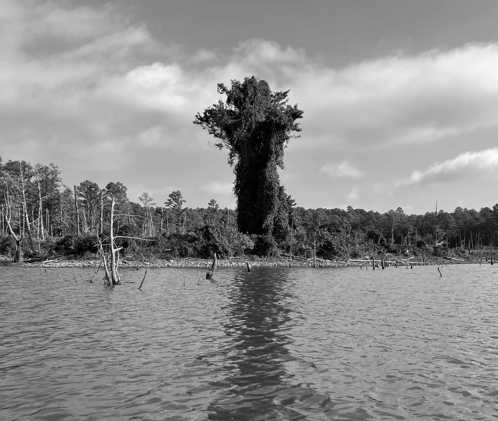 Scenery paddle kayak McGee Creek Natural Scenic Rec Area NSRA Oklahoma
