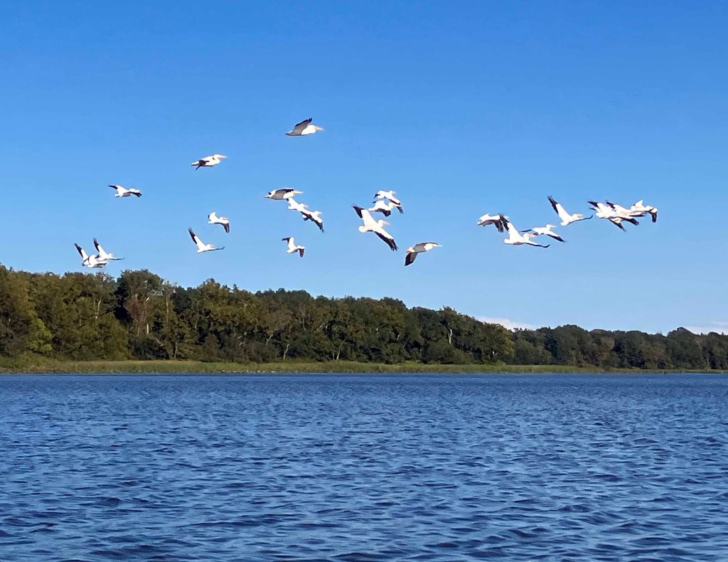 Scenery paddle kayak trip Caddo National Grassland, Coffee Mill, Crockett, www.SawdustRiver.com