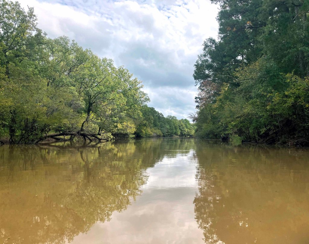 Scenery paddle kayak Angelina River Sam Rayburn