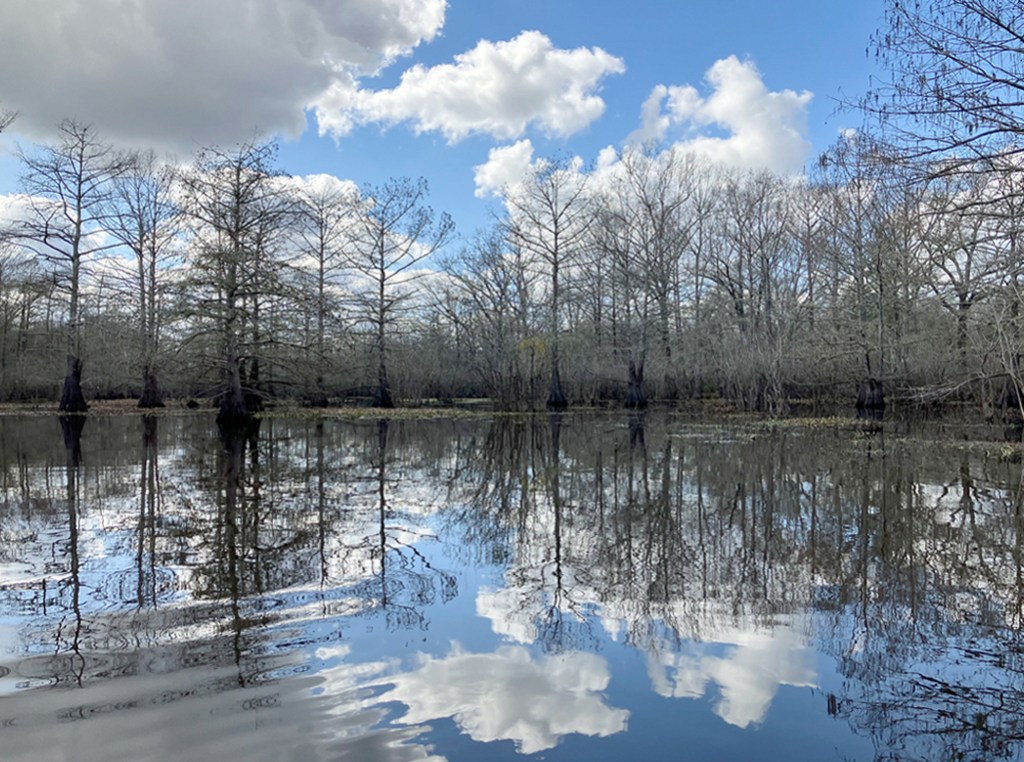 Scenery paddle kayak Steinhagen Martin Dies