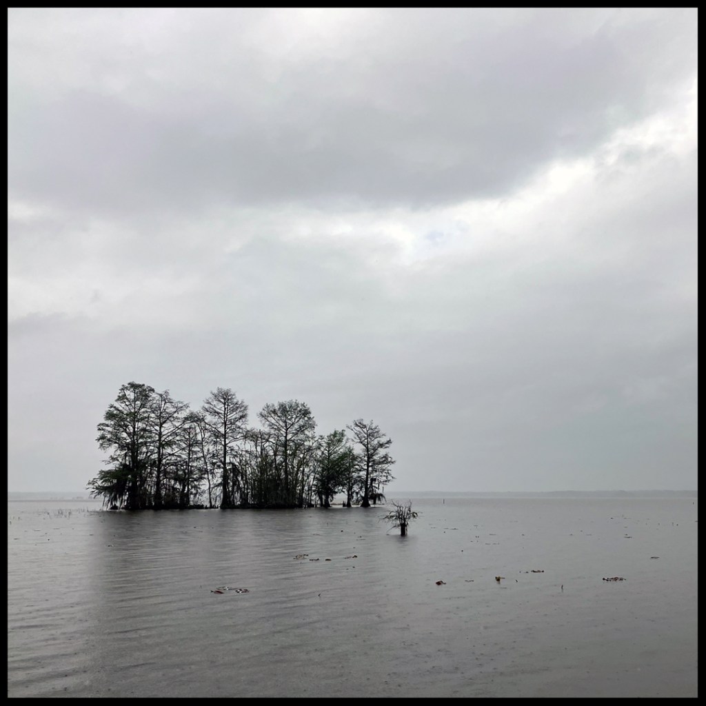 Scenery paddle kayak Steinhagen Martin Dies