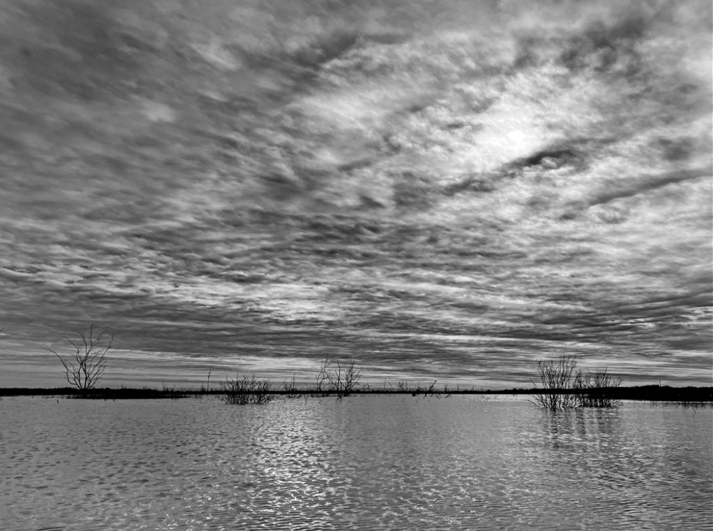 Scenery paddle kayak Lake Lavon Pilot Grove