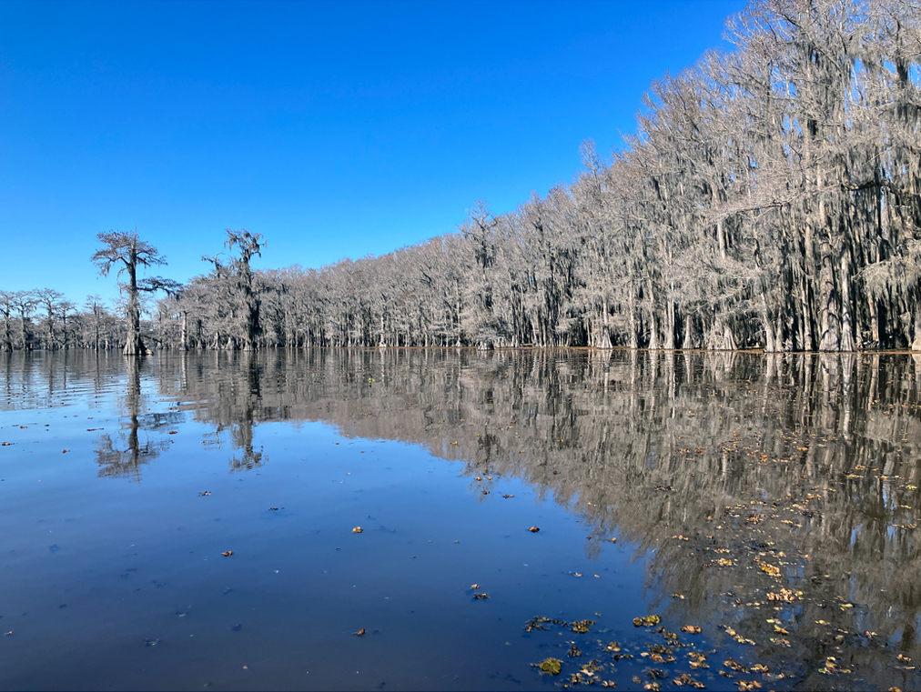 Scenery paddle kayak trip Caddo Lake www.SawdustRiver.com