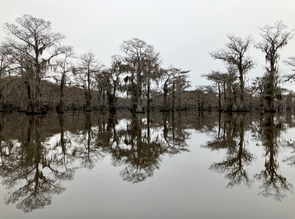 Scenery paddle kayak trip Caddo Lake www.SawdustRiver.com