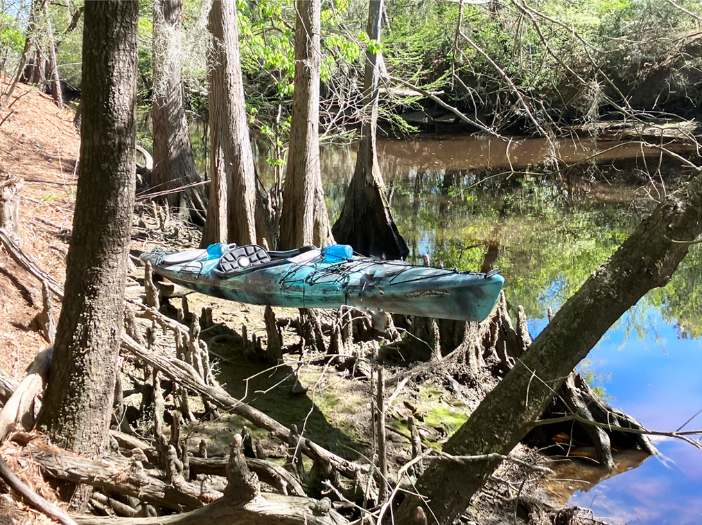 Scenery paddle kayak Neches River Colliers Ferry boat on cypress