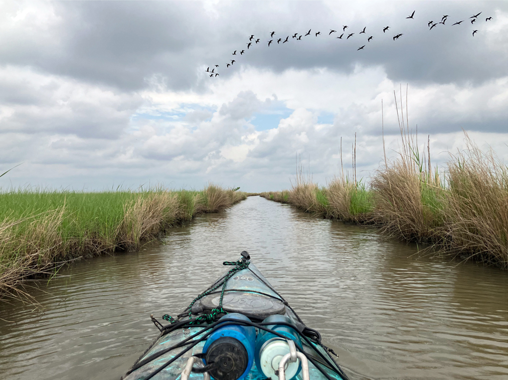 Scenery paddle kayak trip, Sea Rim State Park, www.SawdustRiver.com