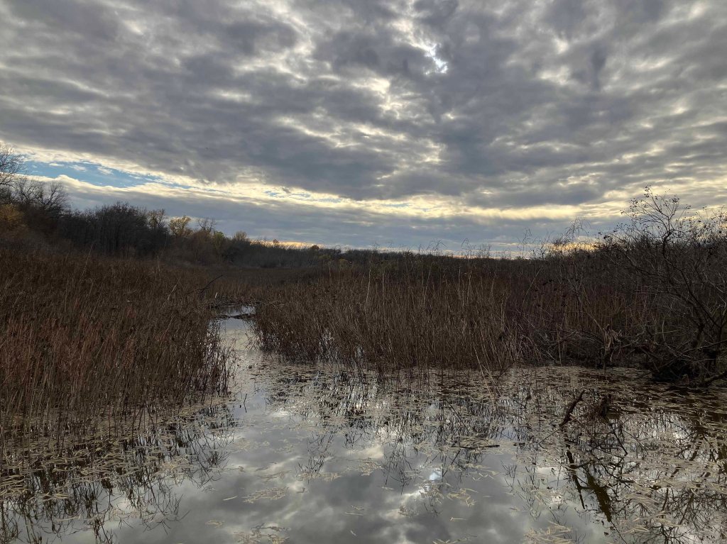Scenery paddle kayak trip Denton Creek, Lake Grapevine, Trophy Club
