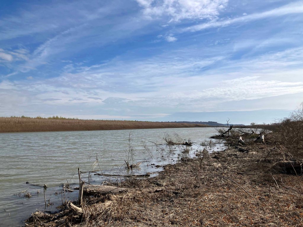 Scenery paddle kayak trip Denton Creek, Lake Grapevine, Trophy Club