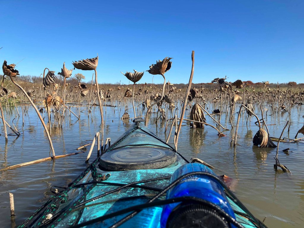 Scenery picture kayaking Fort Worth Nature Center