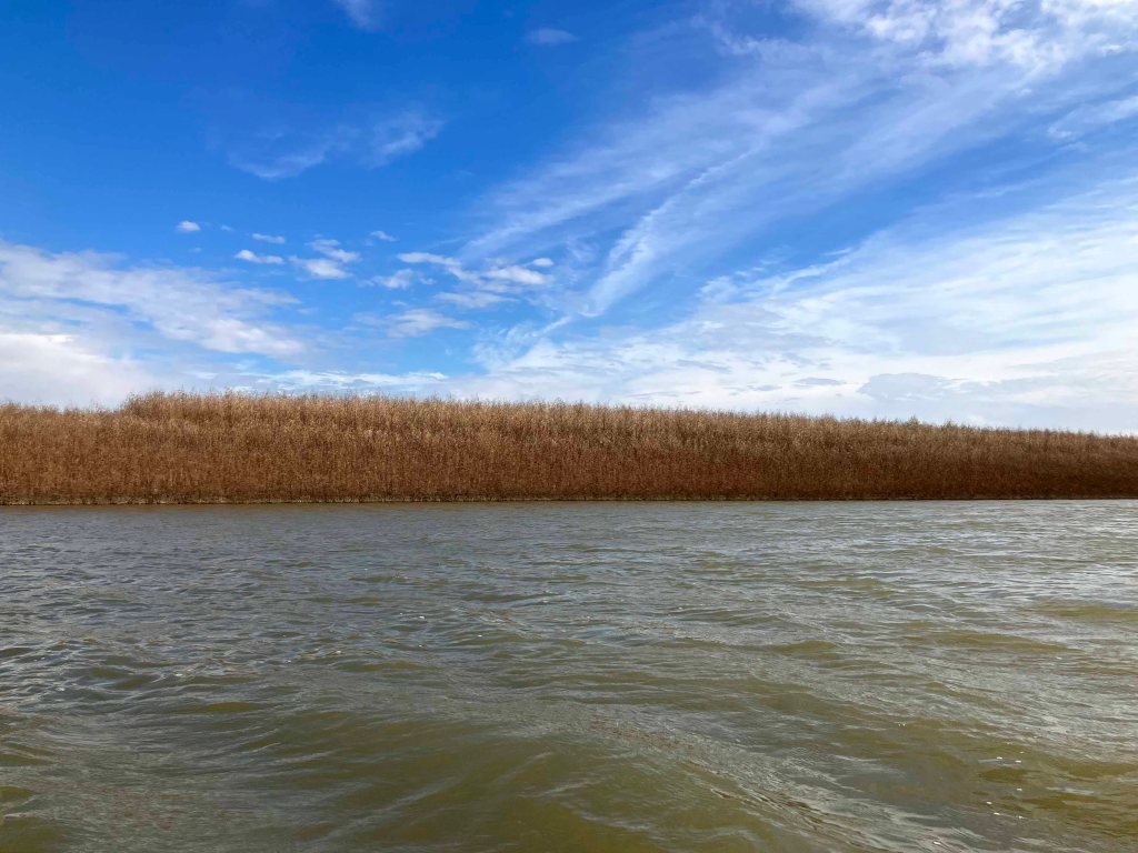 Scenery paddle kayak trip Denton Creek, Lake Grapevine, Trophy Club