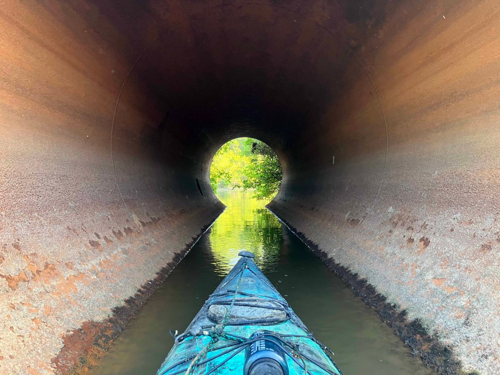 Scenery picture paddle trip Dewey Wills WMA Louisiana tunnel