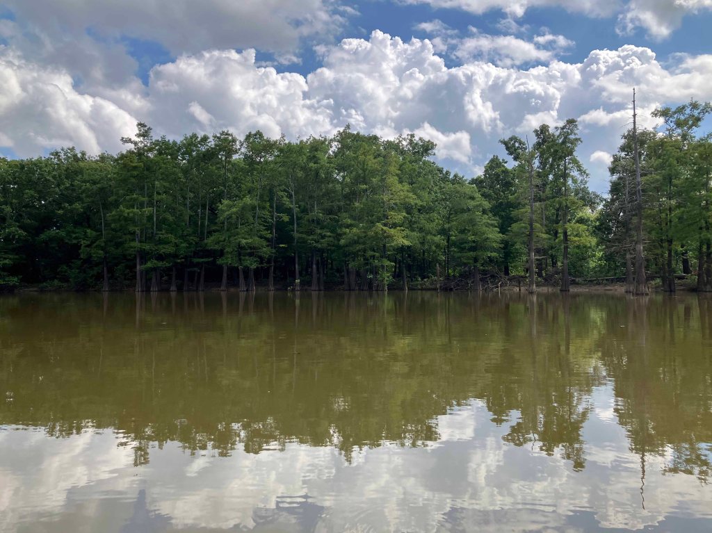 Scenery paddle kayak D'Arbonne NWR Hollands Bluff Louisiana fantastic