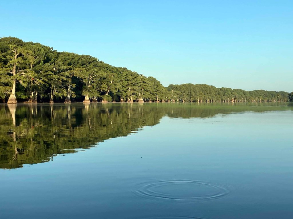 Scenery paddle kayak Spring Bayou WMA Louisiana