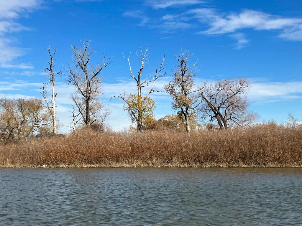 Scenery paddle kayak trip Denton Creek, Lake Grapevine, Trophy Club