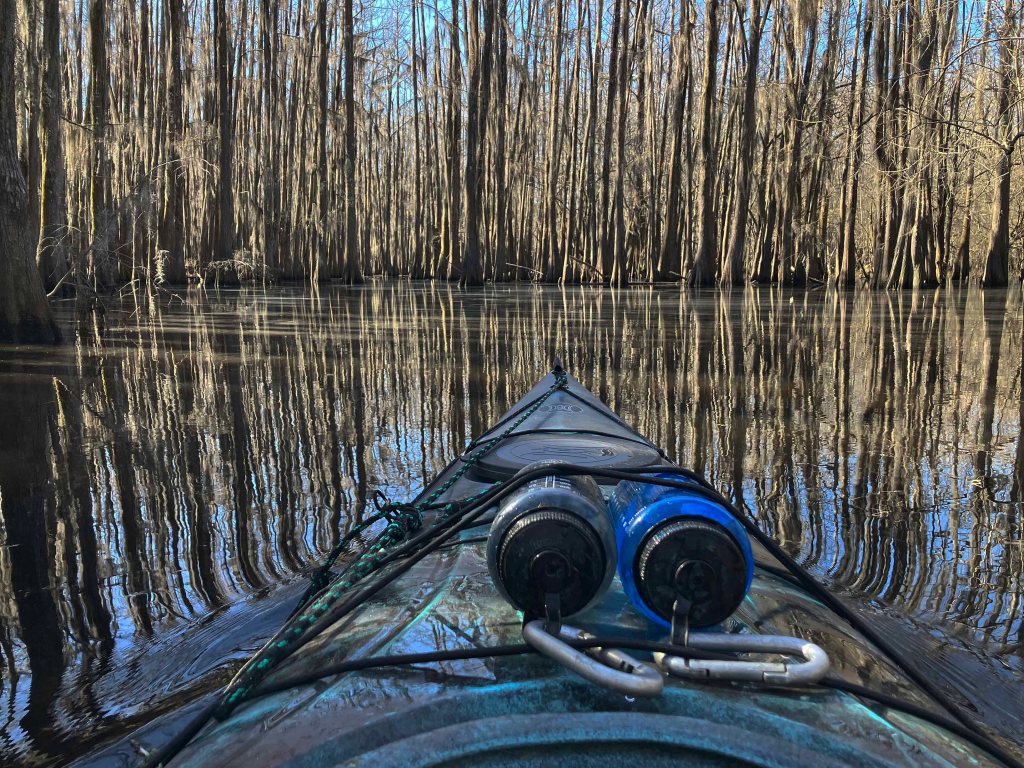 Scenery paddle kayak Caddo Lake