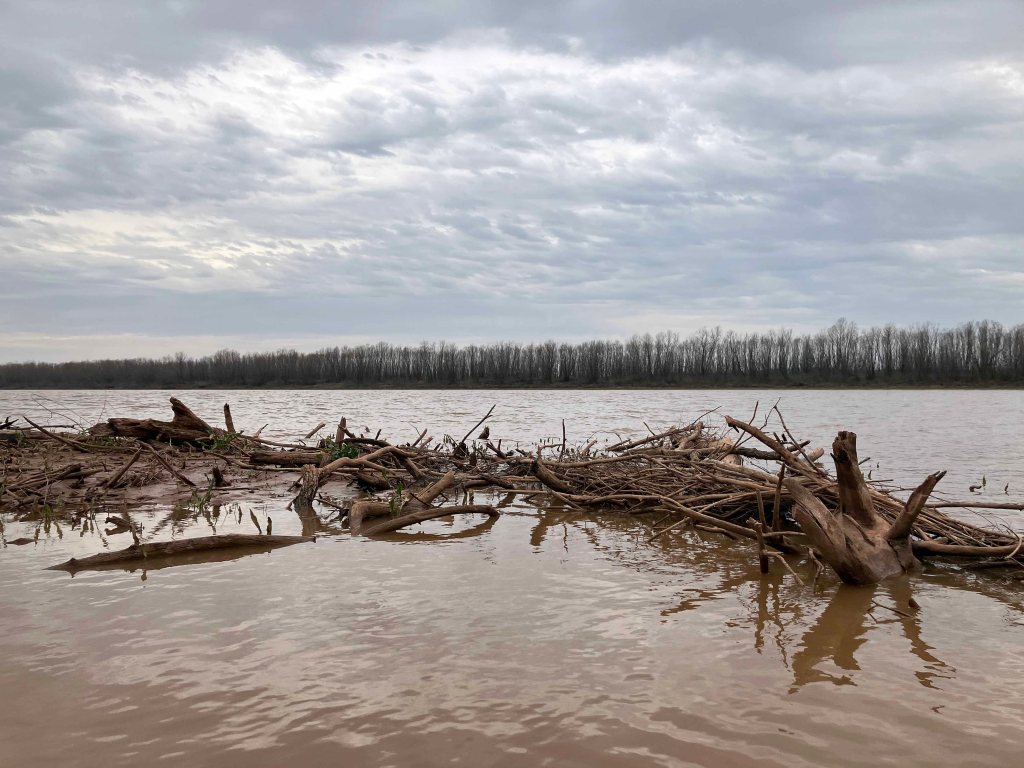 Scenery Kayak Paddle Red River Texoma