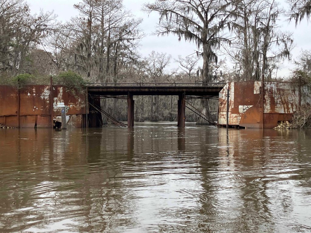 Scenery paddle kayak Caddo Lake