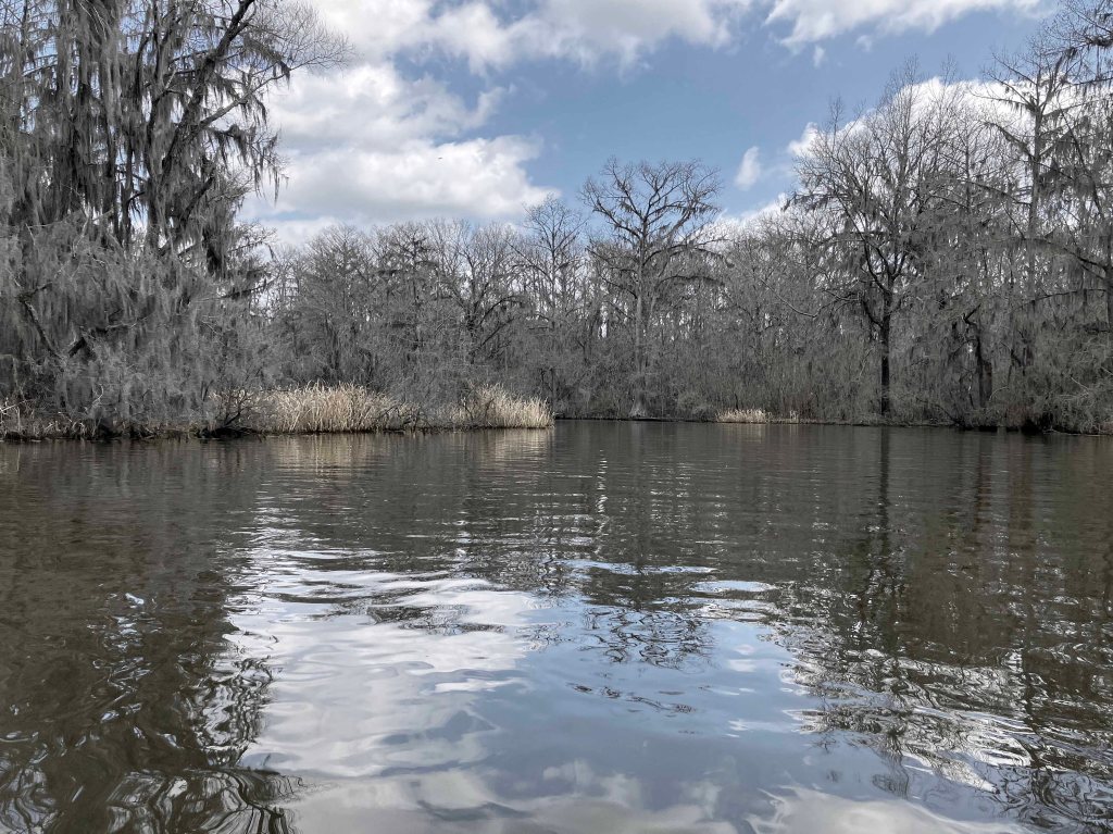 Scenery paddle kayak Caddo Lake