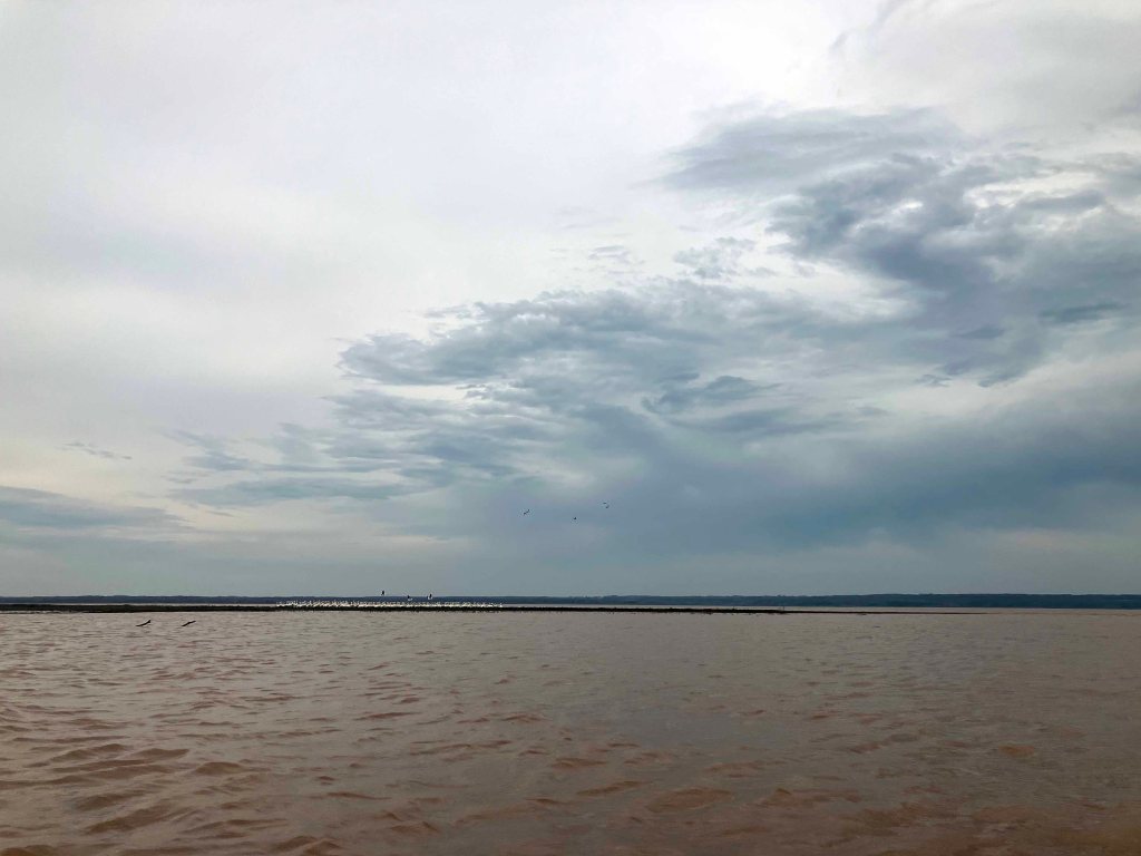 Scenery Kayak Paddle Red River Texoma