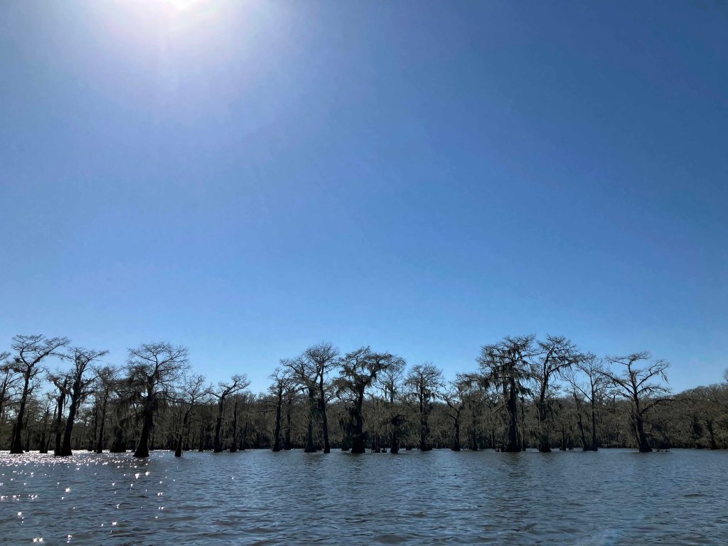 Scenery paddle kayak Caddo Lake