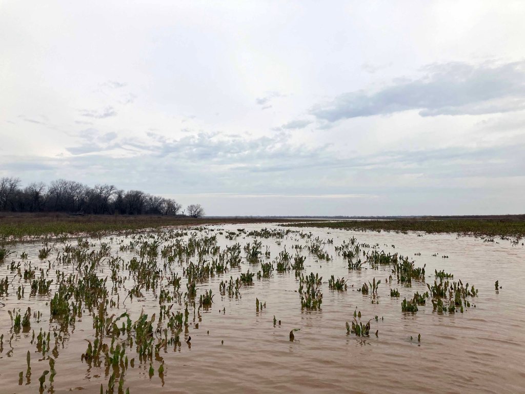 Scenery Kayak Paddle Red River Texoma