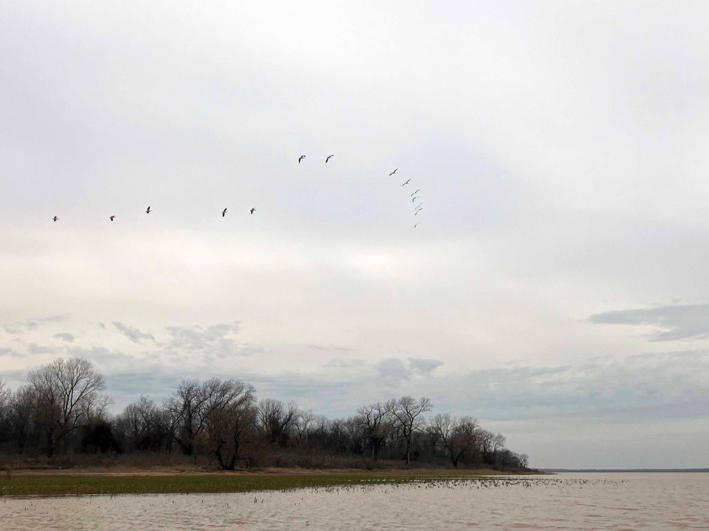 Scenery Kayak Paddle Red River Texoma