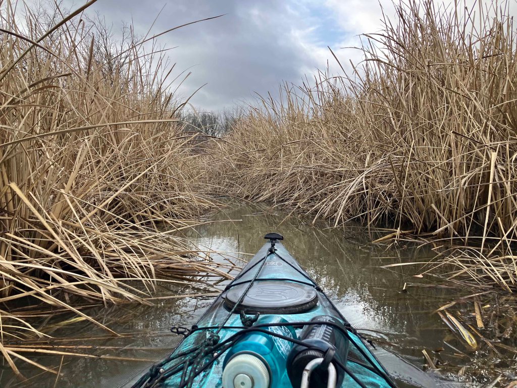 Scenery paddle kayak trip Pat Mayse Lake, Lamar Point