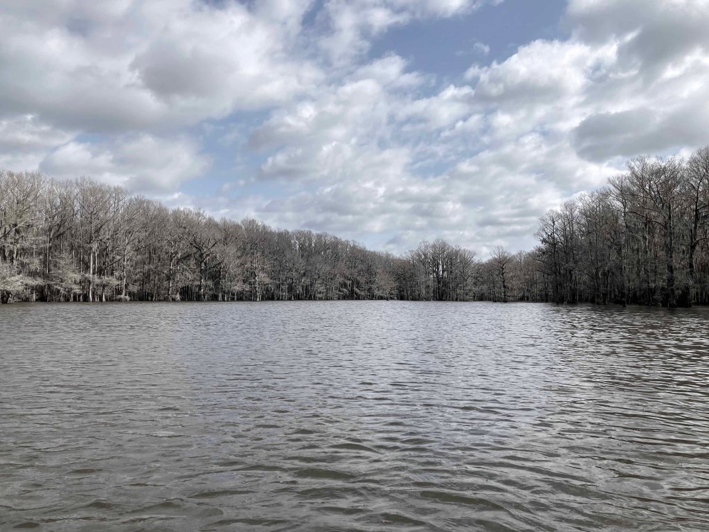 Scenery paddle kayak Caddo Lake