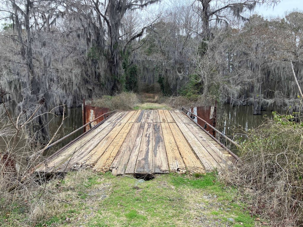 Scenery paddle kayak Caddo Lake