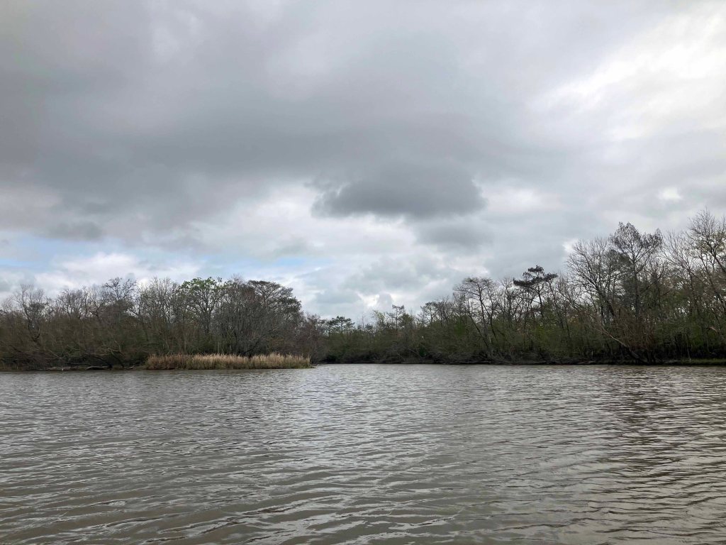 Scenery Paddle Kayak Picketts Bayou Trinity River NWR, The Cutoff