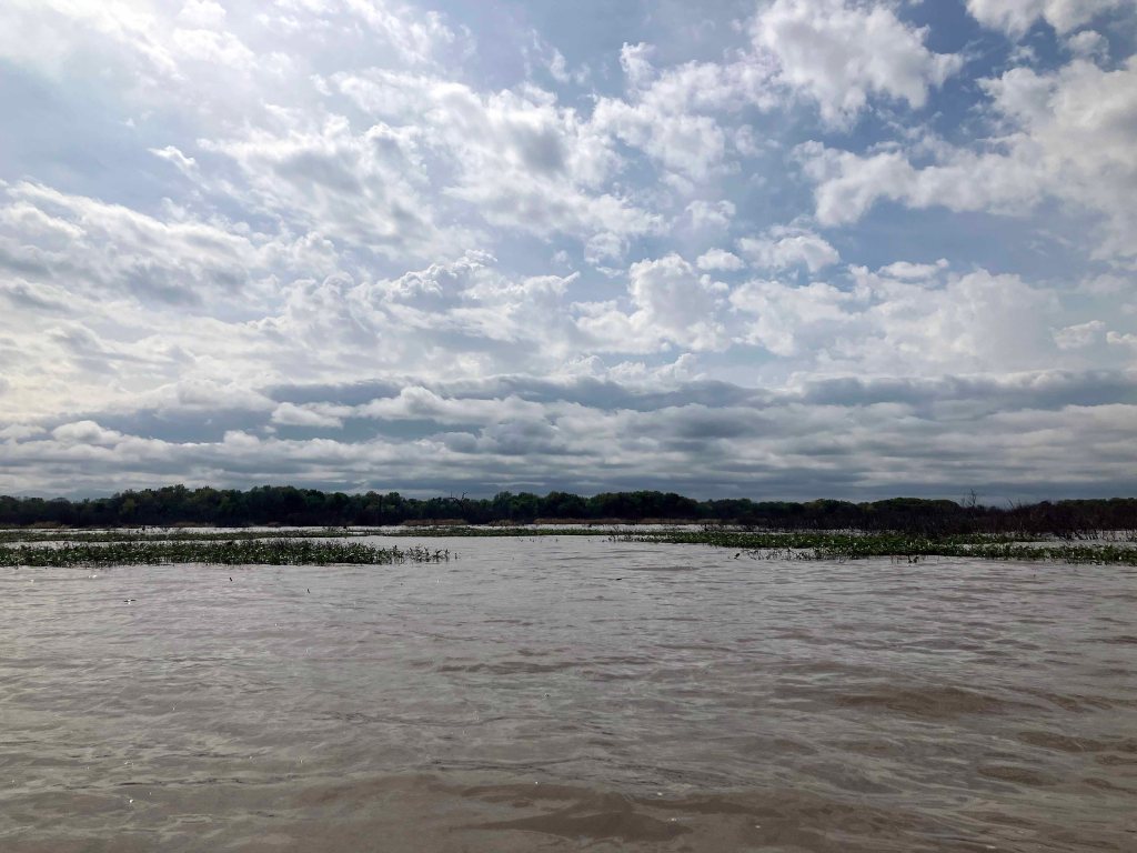 Scenery Paddle Kayak Jim Chapman Lake, Cooper Lake, Middle Sulphur River