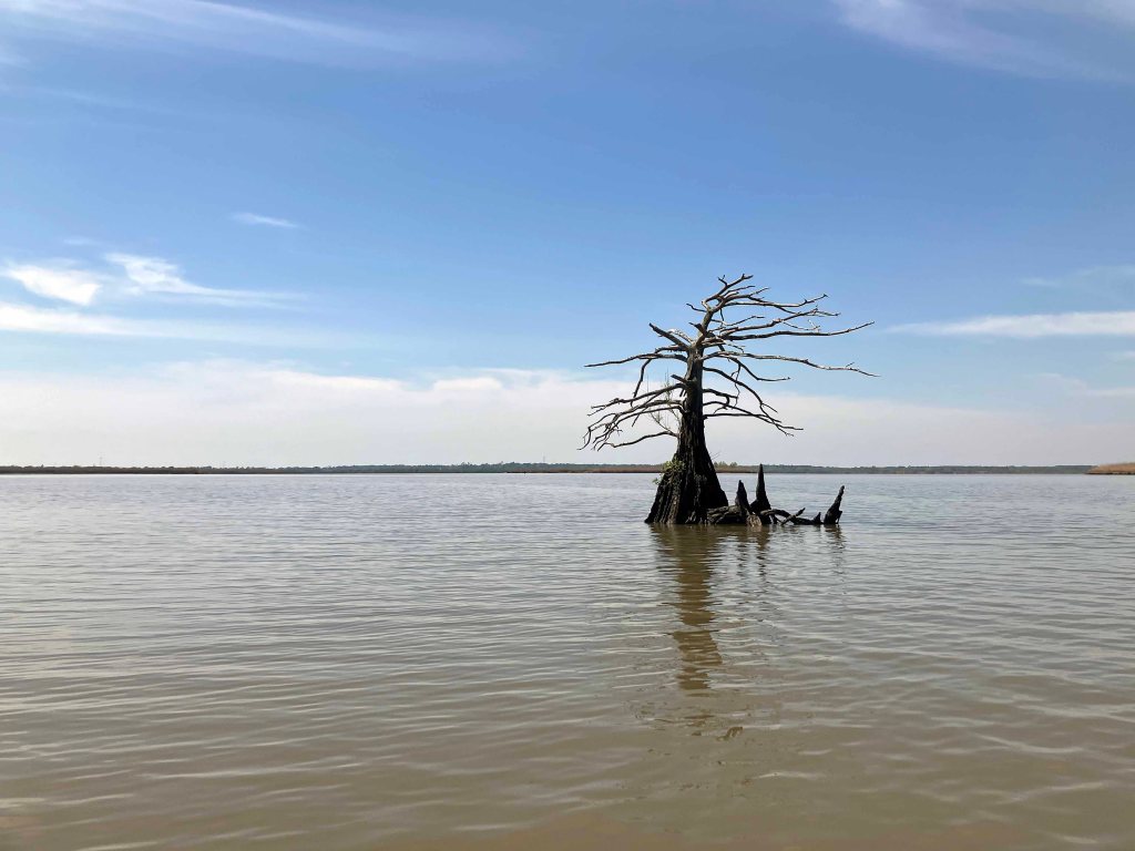 Scenery Paddle Kayak Lost River Hugo Point Park Trinity River
