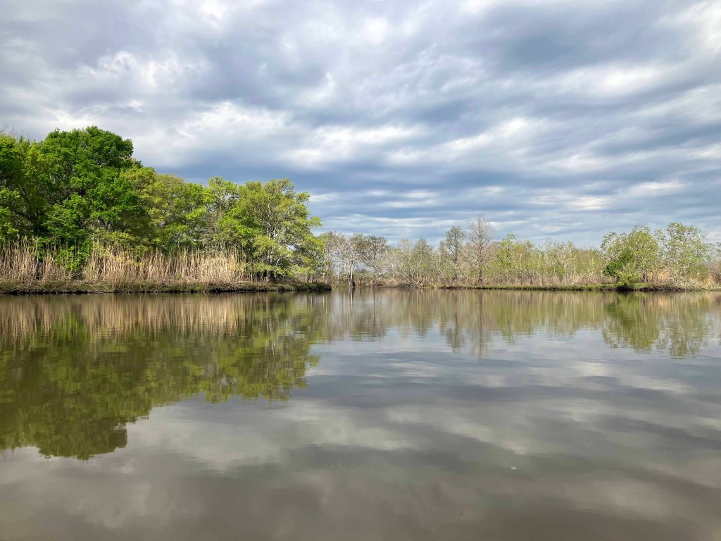 Scenery Paddle Kayak John Wiggins Bayou, Hugo Point Park, Lost River
