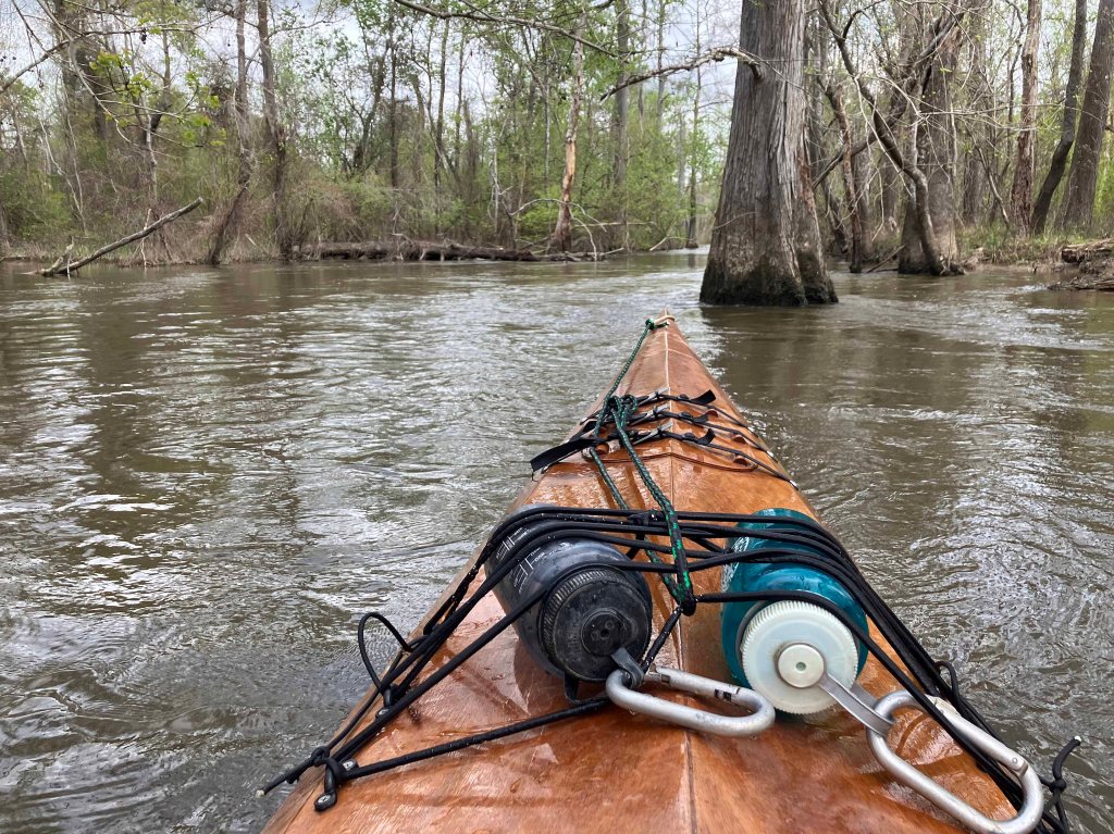 Scenery Paddle Kayak Sabine Island WMA Nibletts Bluff