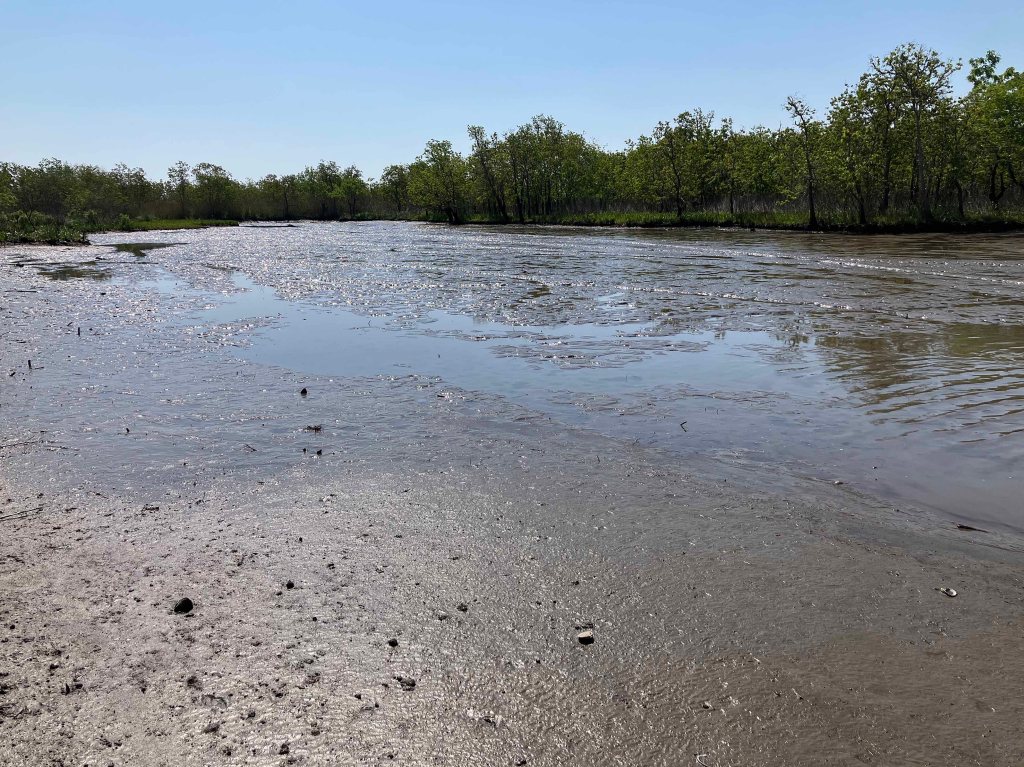 Scenery Paddle Kayak Lost River Hugo Point Park Trinity River