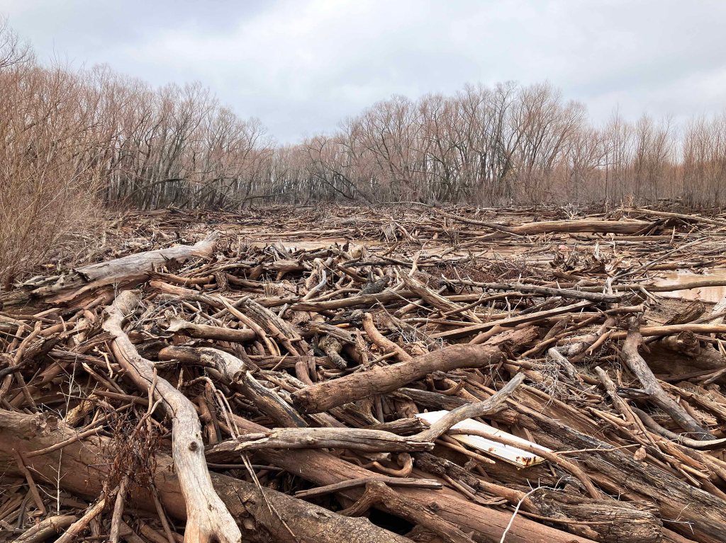 Scenery kayak paddle Tishomingo NWR Oklahoma