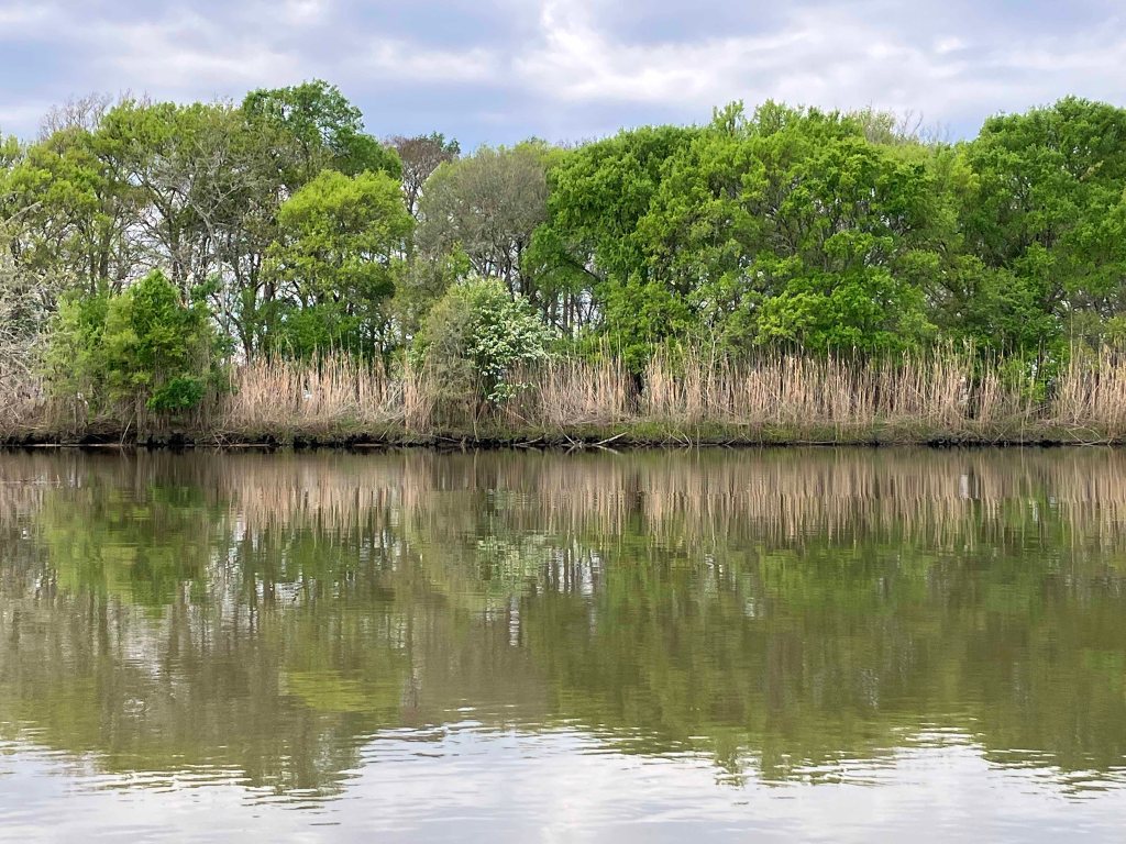 Scenery Paddle Kayak John Wiggins Bayou, Hugo Point Park, Lost River