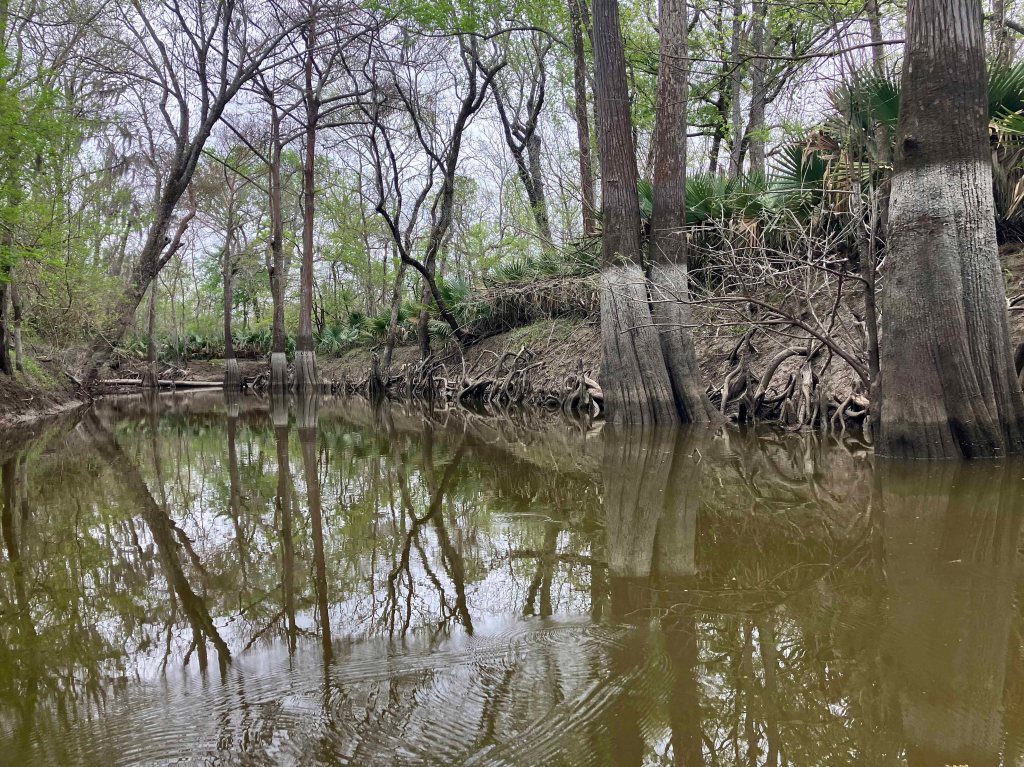 Scenery Paddle Kayak Picketts Bayou Trinity, The Cutoff