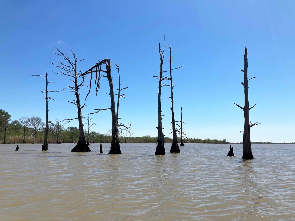 Scenery Paddle Kayak Lost River Hugo Point Park Trinity River