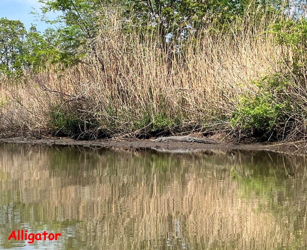 Scenery Paddle Kayak Lost River Hugo Point Park Trinity River