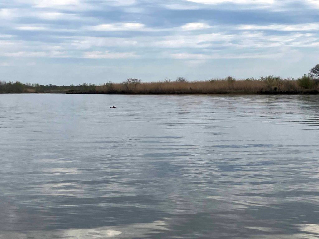 Scenery Paddle Kayak John Wiggins Bayou, Hugo Point Park, Lost River