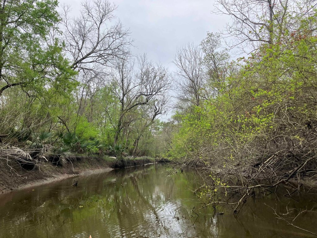 Scenery Paddle Kayak Picketts Bayou Trinity, The Cutoff