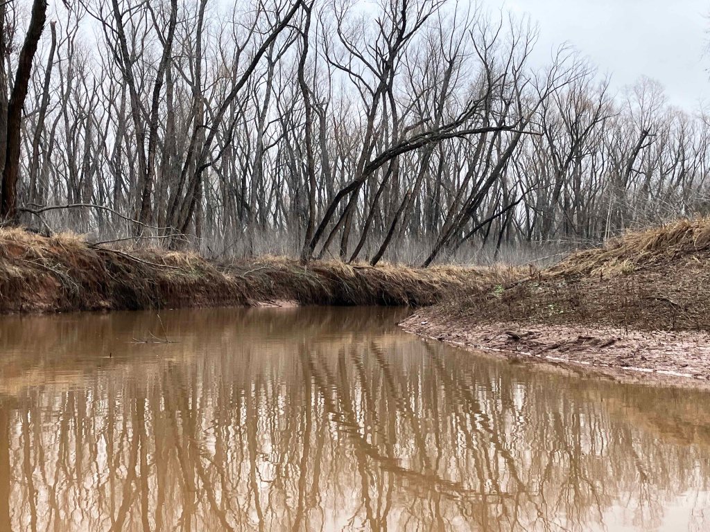 Scenery kayak paddle Tishomingo NWR Oklahoma