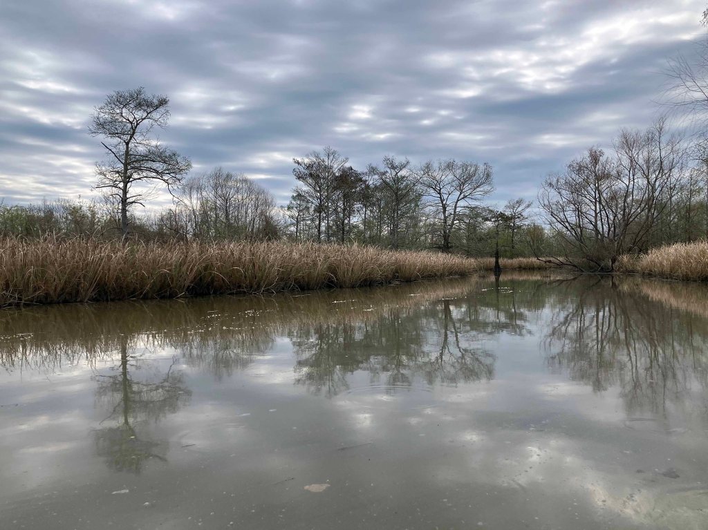 Scenery Paddle Kayak John Wiggins Bayou, Hugo Point Park, Lost River