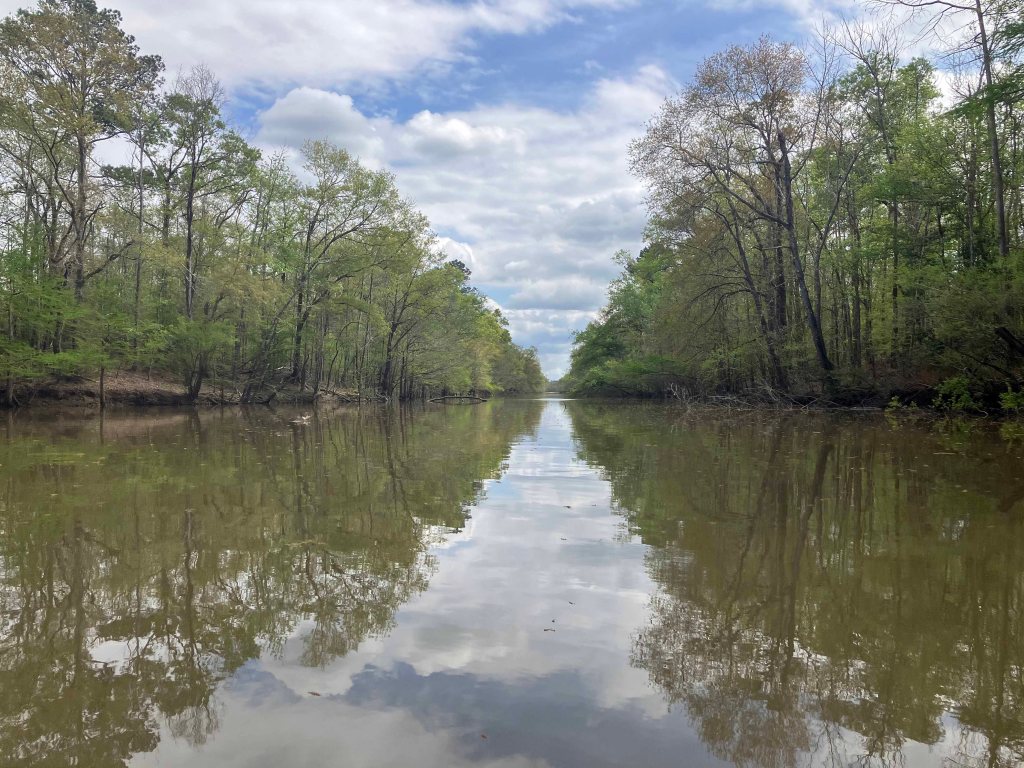 Scenery Paddle Kayak Sabine Island WMA Nibletts Bluff