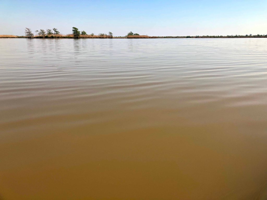 Scenery Paddle Kayak Lost River Hugo Point Park Trinity River