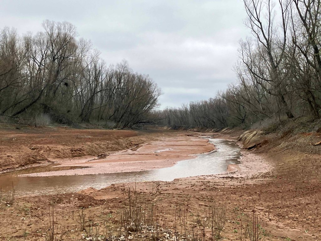 Scenery kayak paddle Tishomingo NWR Oklahoma